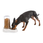 FP DISPENSADOR AGUA/ALIMENTO AZIMUT, 600 ml, COLORES - Imagen 3