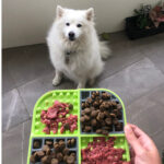 LM SLOMO GREEN FOR DOG - Imagen 3