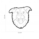 MY FAMILY BORDER COLLIE - Imagen 2