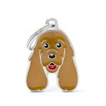 MY FAMILY GOLDEN COCKER SPANIEL