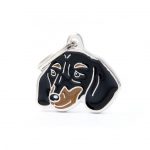 MY FAMILY BLACK & TAN DACHSHUND