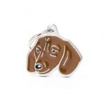 MY FAMILY FAWN DACHSUND