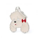 MY FAMILY APRICOT POODLE