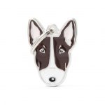 MY FAMILY WHITE AND BROWN BULL TERRIER