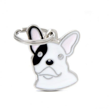 MY FAMILY BROWN FRENCH BULLDOG