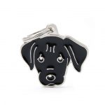 MY FAMILY BLACK LABRADOR