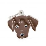 MY FAMILY CHOCOLATE LABRADOR