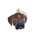 MY FAMILY FAWN BOXER