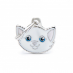 WHITE EUROPEAN SHORTHAIR