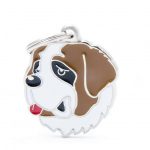 MY FAMILY SAINT BERNARD