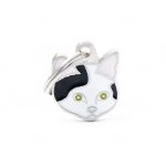 MY FAMILY WHITE AND BLACK EUROPEAN SHORTHAIR