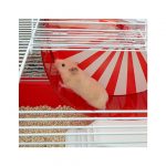 FP JAULA PARA HAMSTER CONEY ISLAND / 50x35x25h cm - Imagen 2