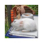FP JAULA PARA CONEJO, RABBIT 120, 118x58,5x49,5h cm - Imagen 4