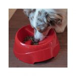 FP PLATO COMIDA LENTA SMALL, 500 ml - Imagen 4