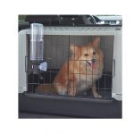 FP BOTELLA DE AGUA TRANSPORTADORA, 600 ml - Imagen 3