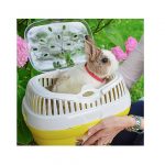 FP TRANSPORTIN PEQ ANIMALES, ALADINO LARGE, 36x26x23h cm - Imagen 2