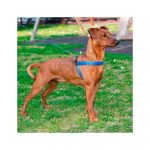 FP ARNES AGILA FANTASY 4, 44-52 cm/20 mm, NEGRO - Imagen 4