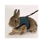 FP ARNES PEQ ANIMALES, MEDIUM, 12-16 cm/18-23 cm/10 mm - Imagen 2