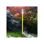 TERMÓMETRO DE VIDRIO PRECISIÓN BOYU - Imagen 2