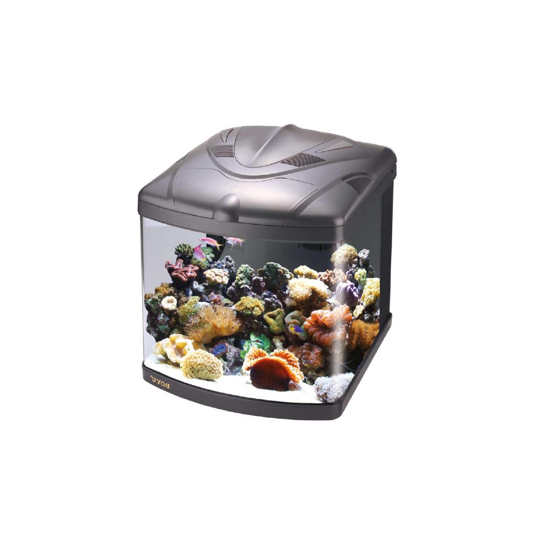TL-550 REEF PRO BOYU, 128L - Imagen 1