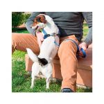 FP ARNES AGILA FANTASY 3, 42-50 cm/15 mm, AZUL - Imagen 5