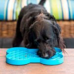 LM SLODOG SLOW FEEDER PLATE, TURQUOISE - Imagen 3
