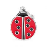 MY FAMILY BIG LADYBUG