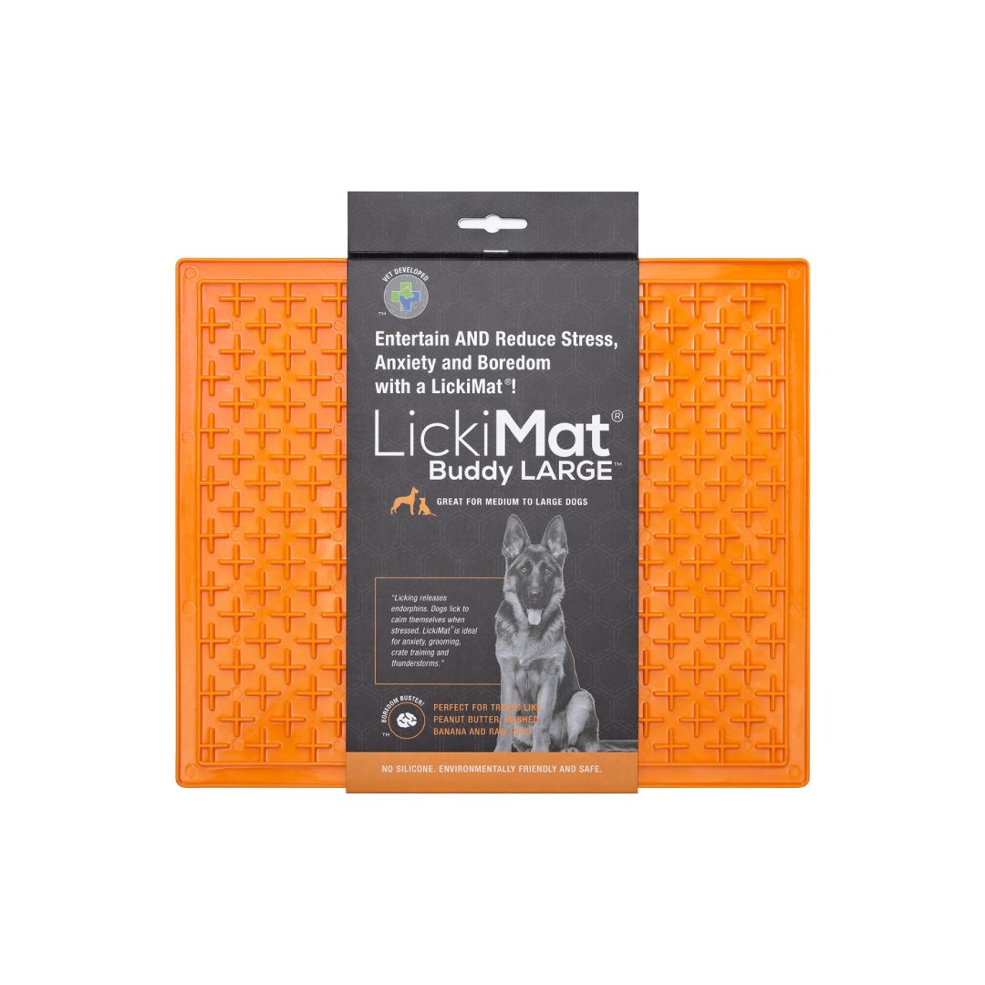 LM9962OR-DR (1) LM BUDDY XL ORANGE FOR DOG - Imagen 1