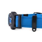 MF MEMOPET COLLAR NYLON AZUL, 26/37-1,6 cm / SM - Imagen 2