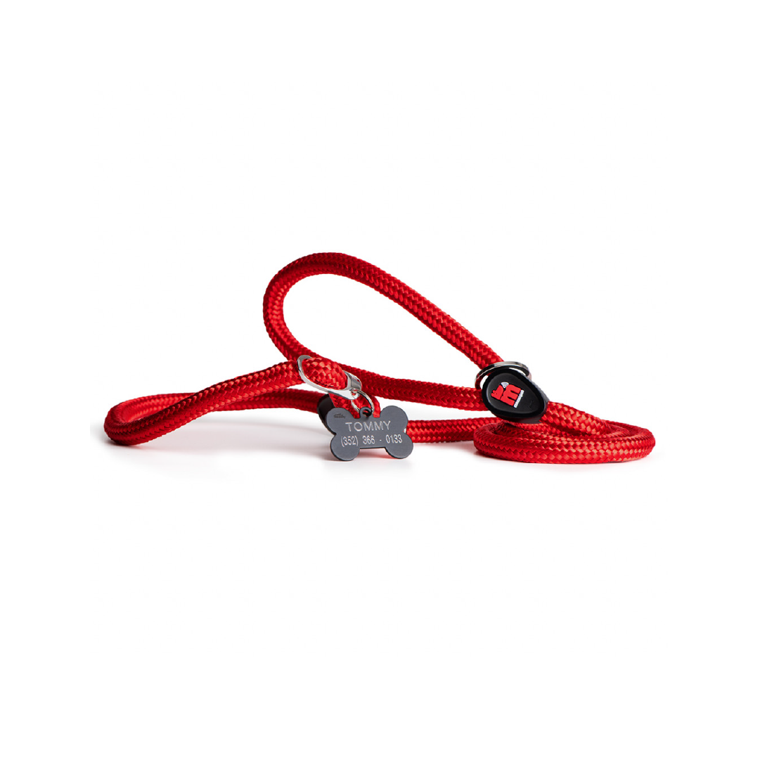 MF7203 (1) MF MEMOPET CORREA ANTI-TIRONES ROJA, MD - Imagen 1