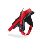 MF MEMOPET ARNES NYLON ROJO, 35/45-1,6 cm / SM - Imagen 2