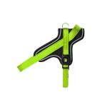 MF MEMOPET ARNES NYLON VERDE, 30/35-1,6 cm / XS