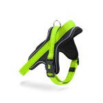 MF MEMOPET ARNES NYLON VERDE, 30/35-1,6 cm / XS - Imagen 2