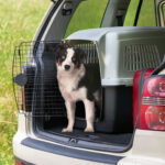 FP TRANSPORTADORA, CLIPPER 5, 57x87x60h cm, BLA/NEG - Imagen 7