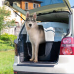 FP TRANSPORTADORA, CLIPPER 6, 65x93x68h cm, BLA/NEG - Imagen 6